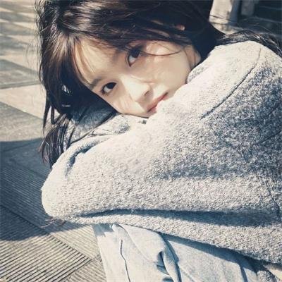 野良与皇女与流浪猫之心