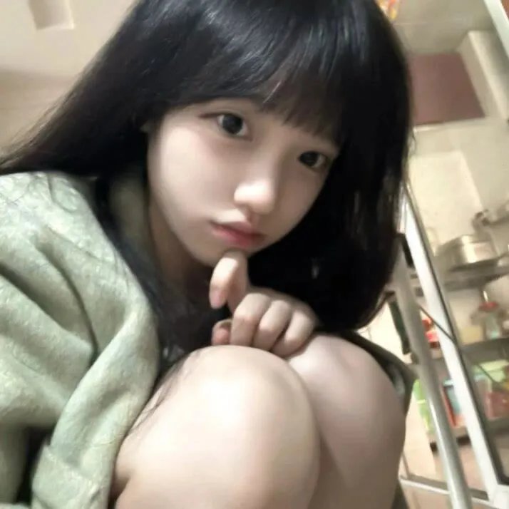 Centauro：暗夜骑士